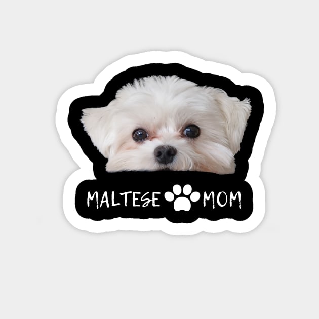 Maltese mom cute t-shirt Sticker by jachu23_pl